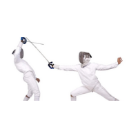 Виды оружия для фехтования